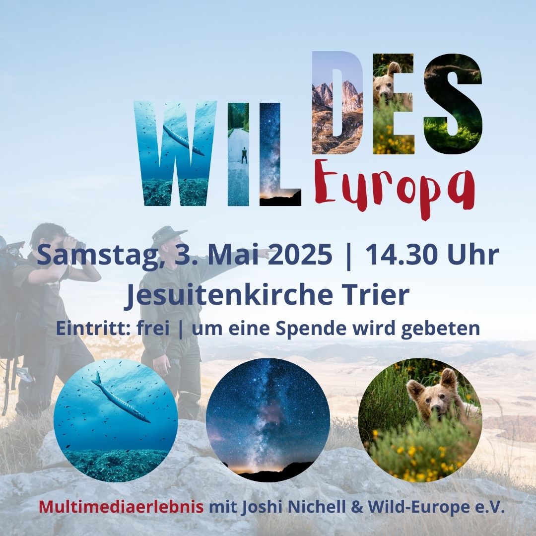 Wildes_Europa_Quadrat_JPG